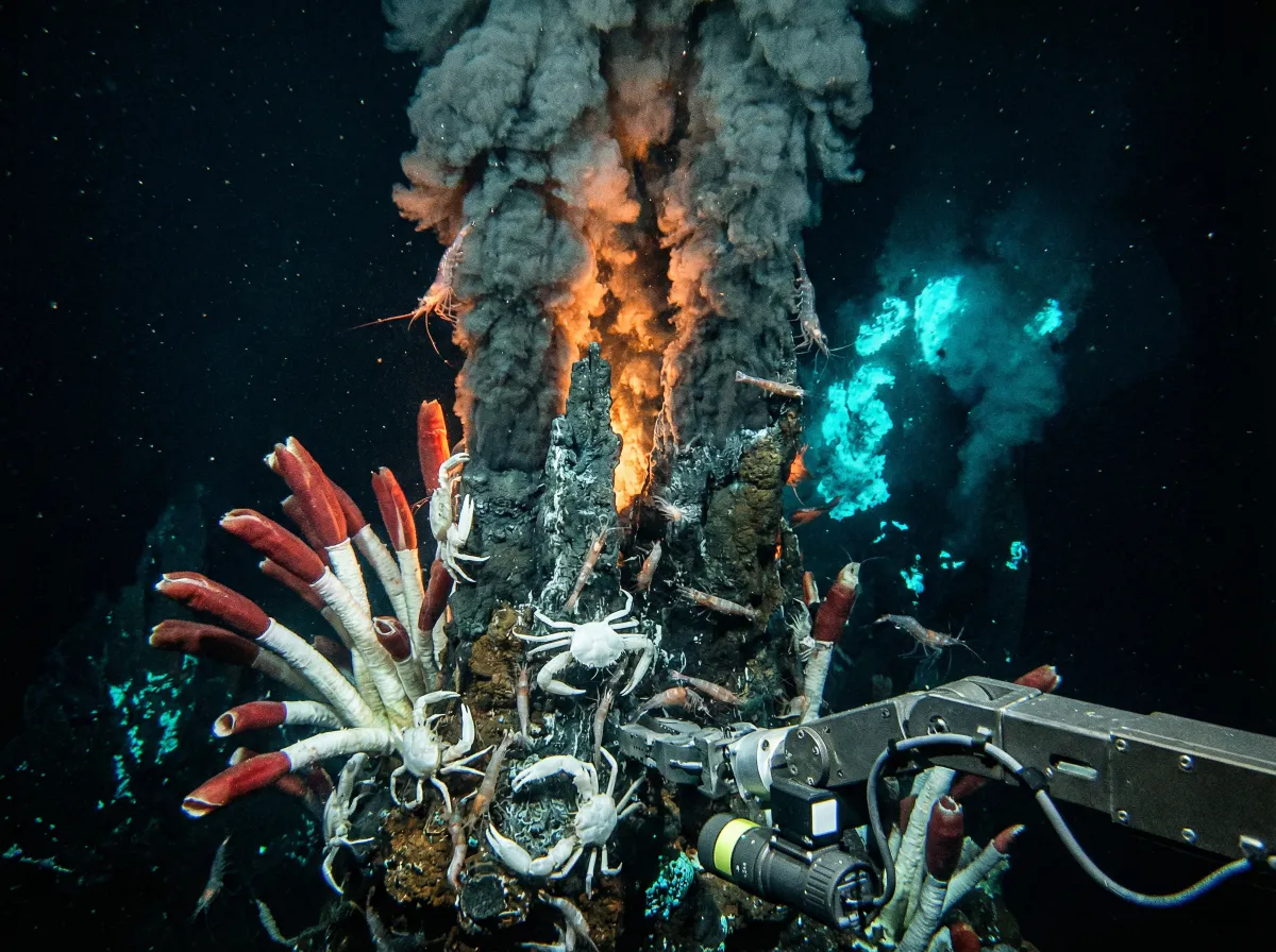 海底热泉管虫生态系统 - 海角爆料